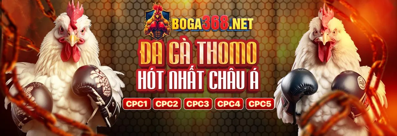 Hình ảnh giới thiệu nền tảng đá gà trực tiếp hôm nay