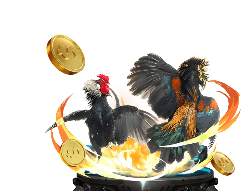 Phân tích RTP và biến động nổ hũ